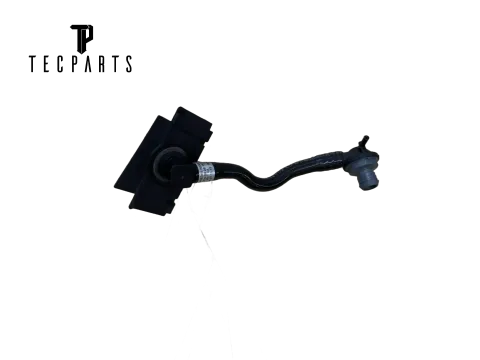 Article 2BDY