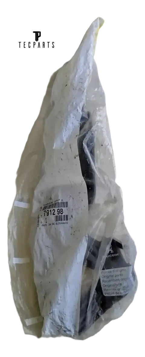 Background image for Original Motorhaubenschanier für Peugeot 791298 Originalverpackt 791298